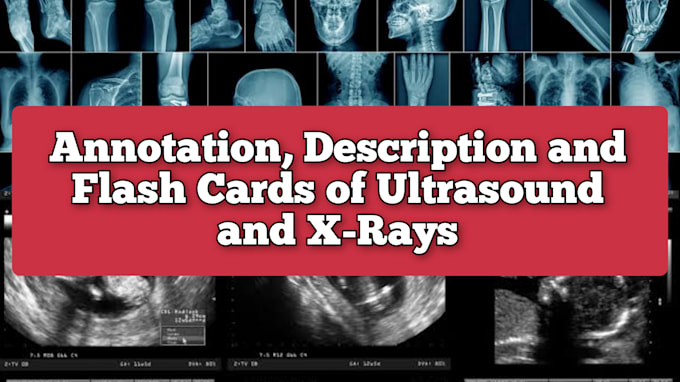 make flash cards, annotate and describe medical images