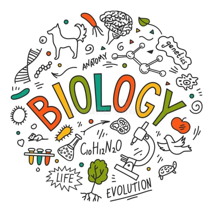 help you prepare for mcat biology