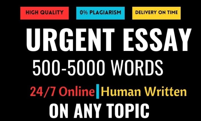 essay writer online