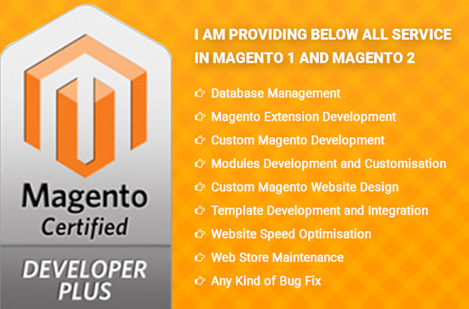 fix, customize, and optimize your magento 2 hyva theme store for more sales
