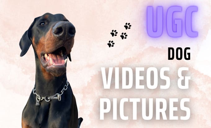 create unique ugc with my dog