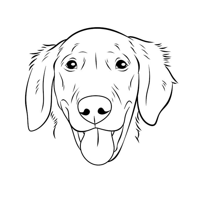turn your pet into line art