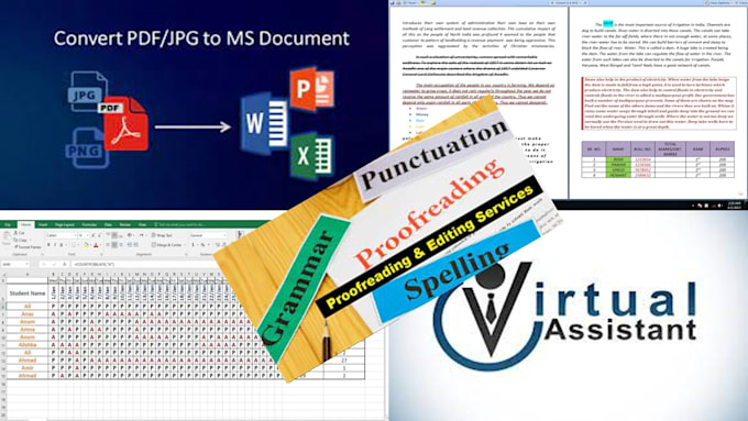 do accurate data entry, fast typing, scan to word excel, copy paste