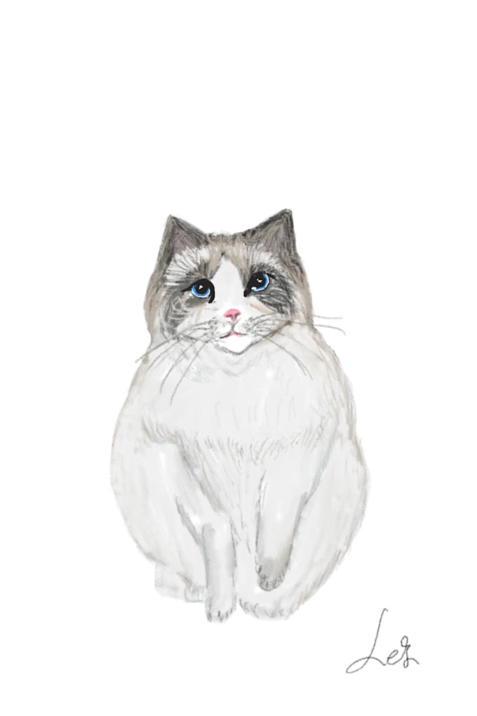 do digital art design or drawing for pet photo customize