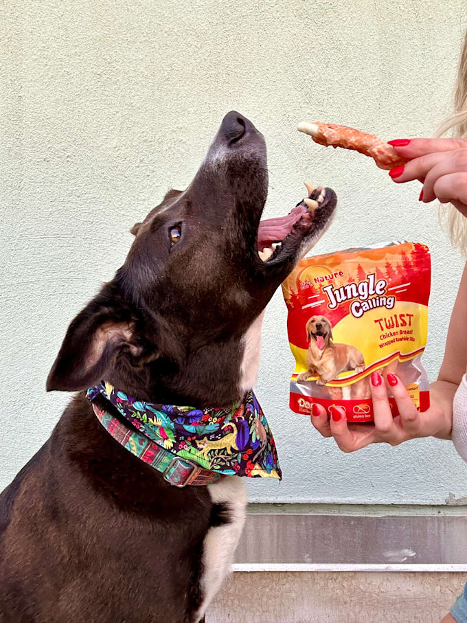 create and post dog influencer and affiliate content for your pet brand