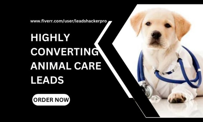 Pet care genuine dog training collar on sale