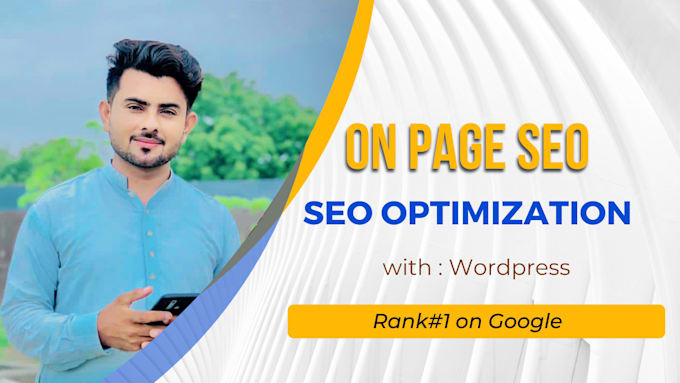 provide professional SEO onpage optimization wordpress sites