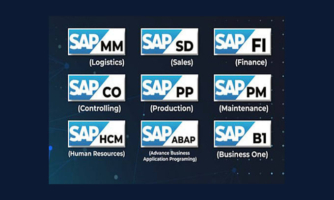 be sap a1 b1 integration and support specialist
