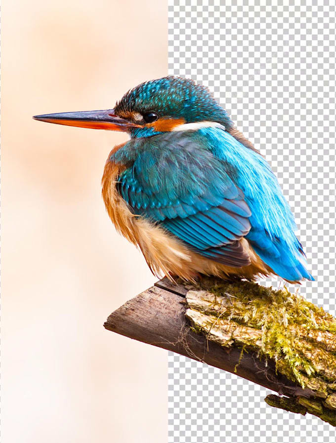 Remove backgrounds from your images by Gxgy__ Fiverr