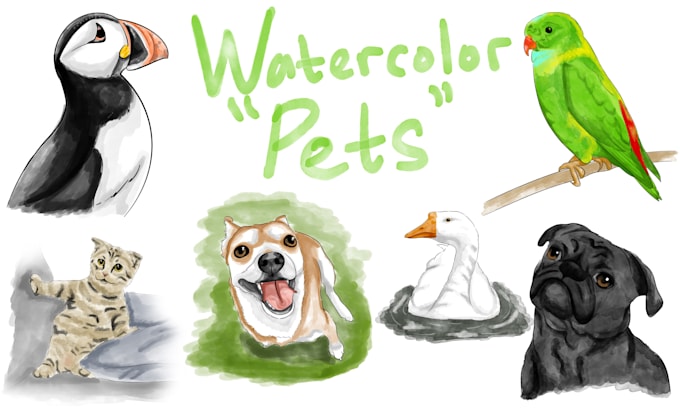 draw cute pet in watercolor illustration