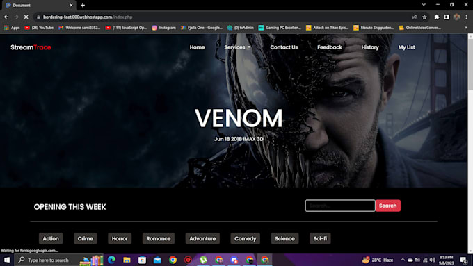 be your best frontend website coder and PHP developer, javascript css wordpress