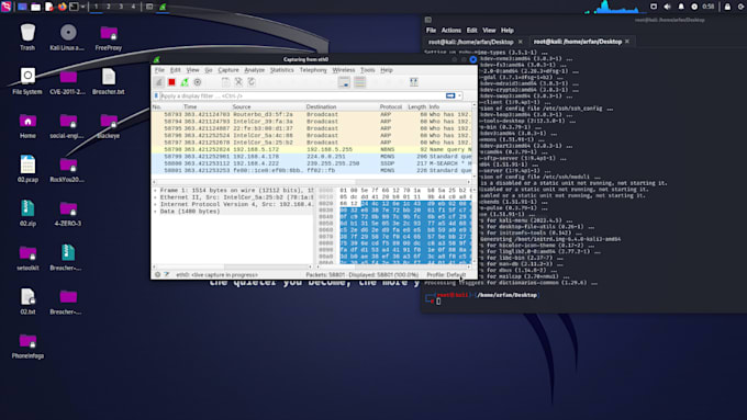 vulnerability assessment and penetration testing  your website