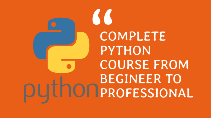 teach you python programming from beginners to professional
