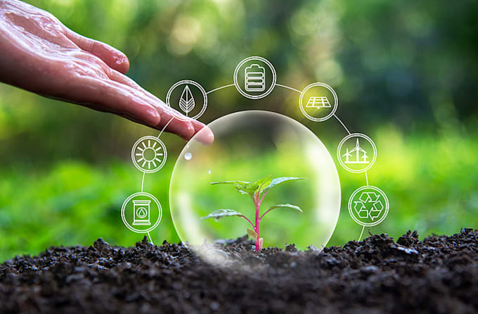 explore, educate, and empower environmental awareness related projects