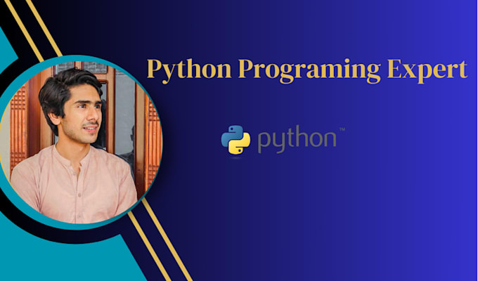 provide python programming services