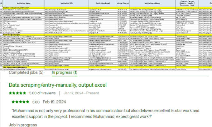 be your virtual assistant and data entry specialist