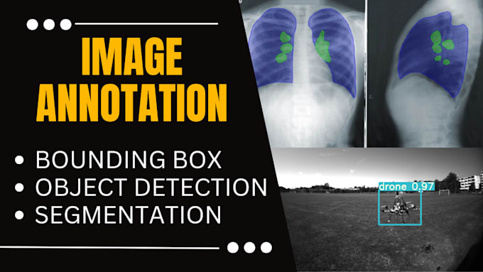 provide image annotation, data annotation and data labeling