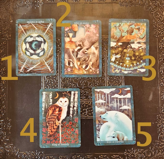 give you 50 percent off my tarot reading