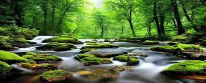 create restful relaxing rain video