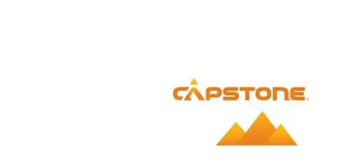 help analyse capsim reports