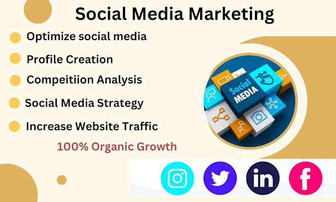 provide social media marketing manager and content creation