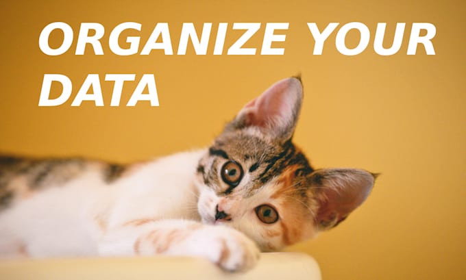 clean up, consolidate, format and convert your data