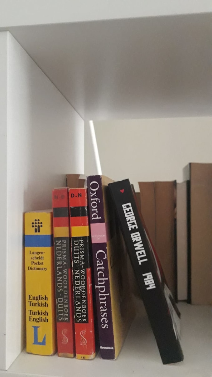 Transcribe and translate in english, dutch and german by Theo_earl Fiverr