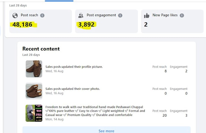 do facebook marketing paid