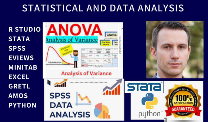 Do statistical data analysis with spss, sas, r, excel, stata, essay ...