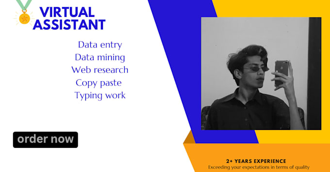 be your virtual assistant for data entry