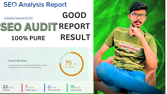 create professional site audit report ,site seo audit report