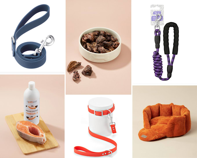 do pet product photo with optional pet models