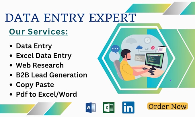 do professional data entry, web scraping, excel data entry