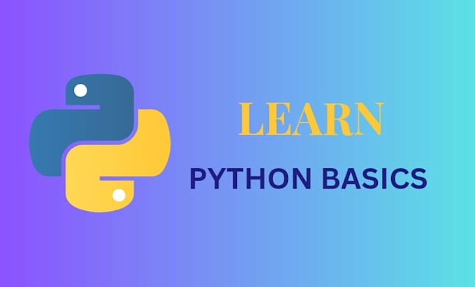 Teach you python basics by Parveenh186 | Fiverr