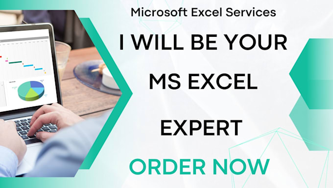 develop professional and interactive dashboard in excel