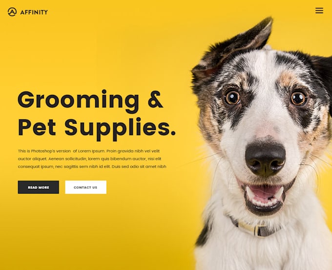 do pet care website design