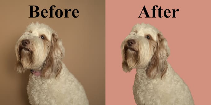 professionally remove background, hair masking