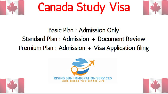 provide professional advice regarding your study visa application