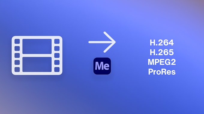 convert any professionell video format you need