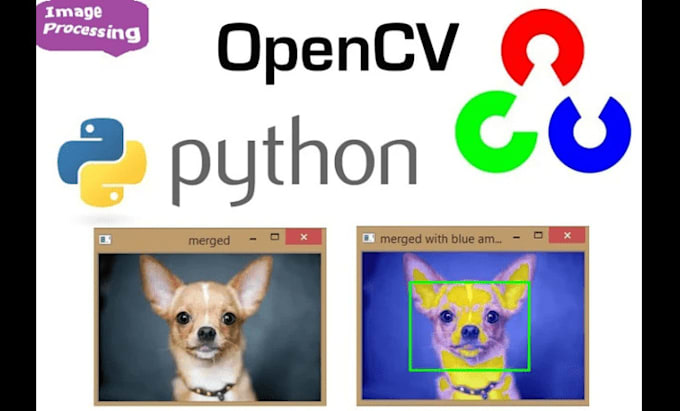 do deep learning using yolo, tensor flow, keras, pytorch, and opencv