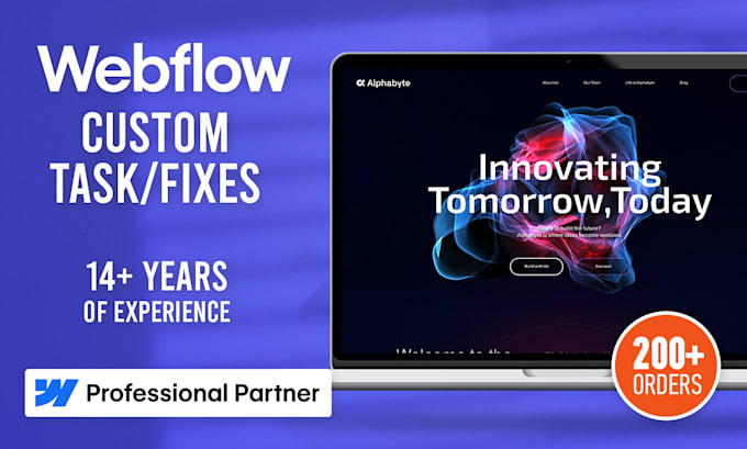 make any fix to your webflow website