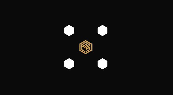 do professional logo animation and motion graphics