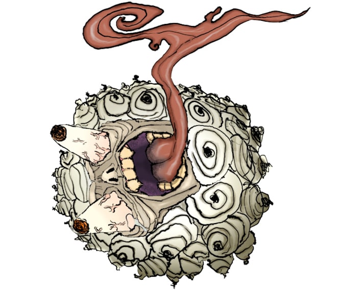 Make one piece devil fruit art by Oompathe5th Fiverr