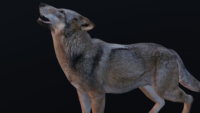 animate your custom 3d creature