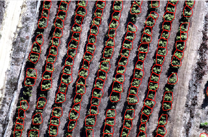 perform individual tree crown delineation from lidar