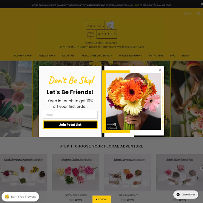 setup your shopify website