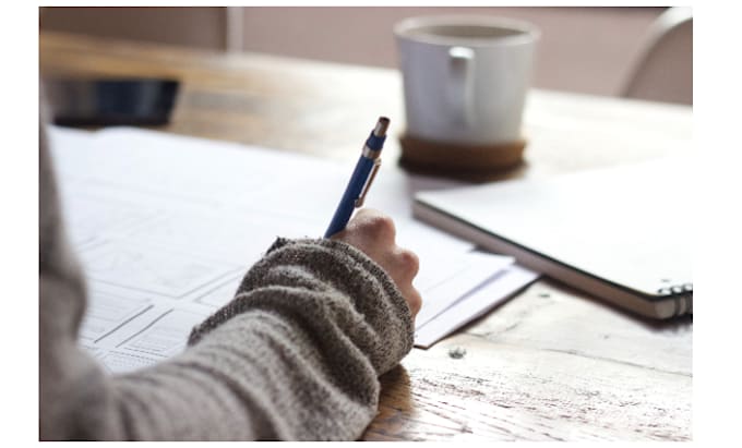 offer cv and resume writing along with data entry