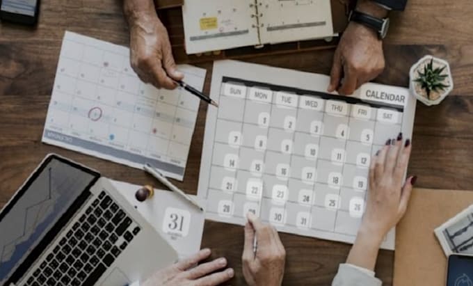 Manage your calendar and schedule appointments by Suu va Fiverr