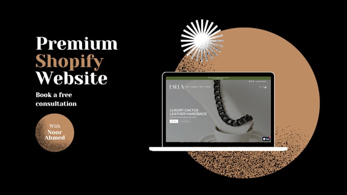 create a premium shopify website or shopify store