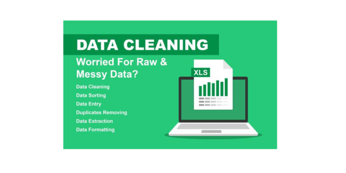 do excel data cleaning, excel spreadsheet clean up with your perfect expectation
